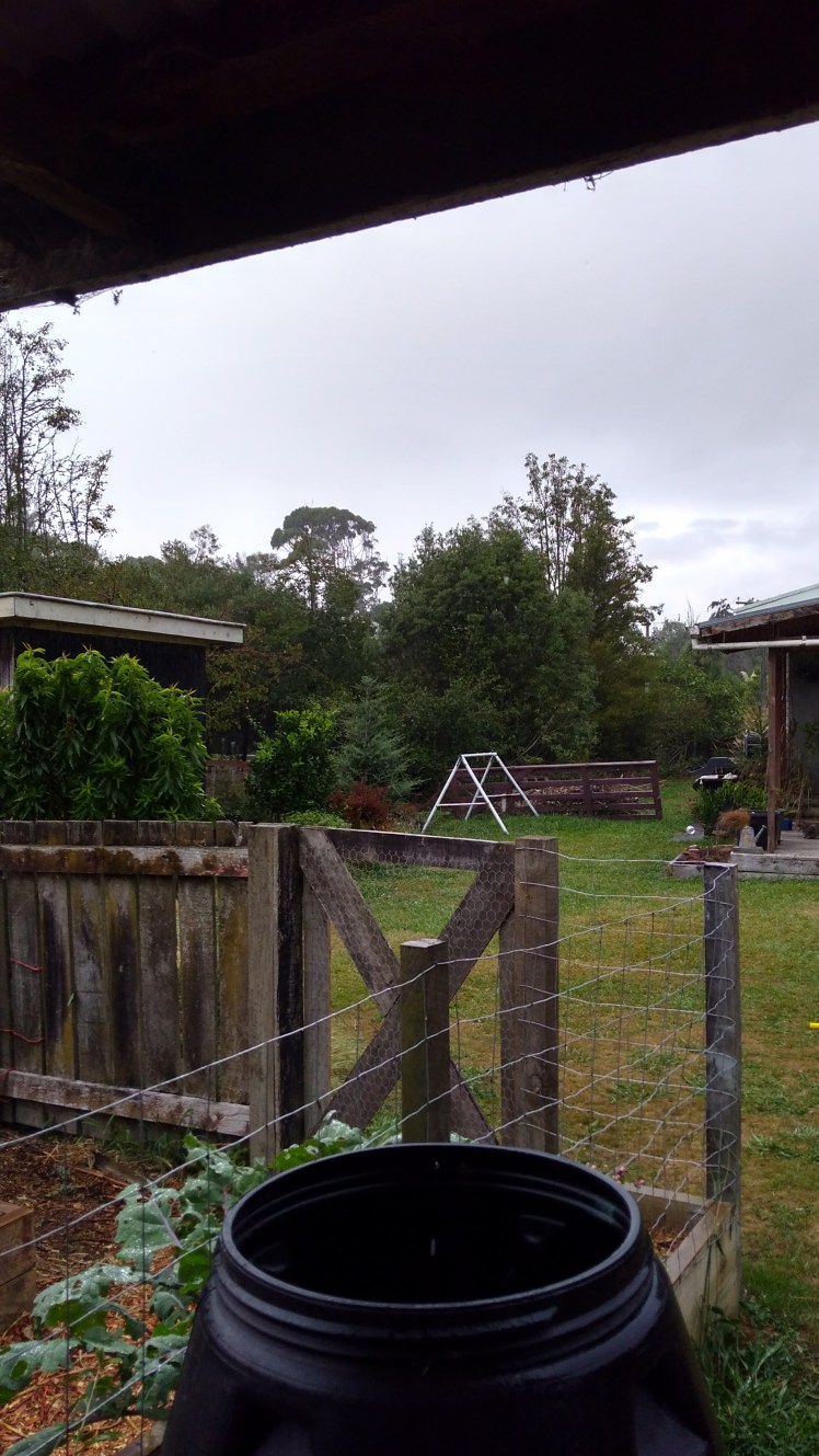 IMG_20200227_091428042_HDR