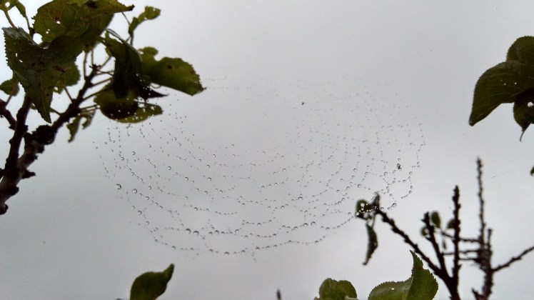 IMG_20200227_092143807_HDR