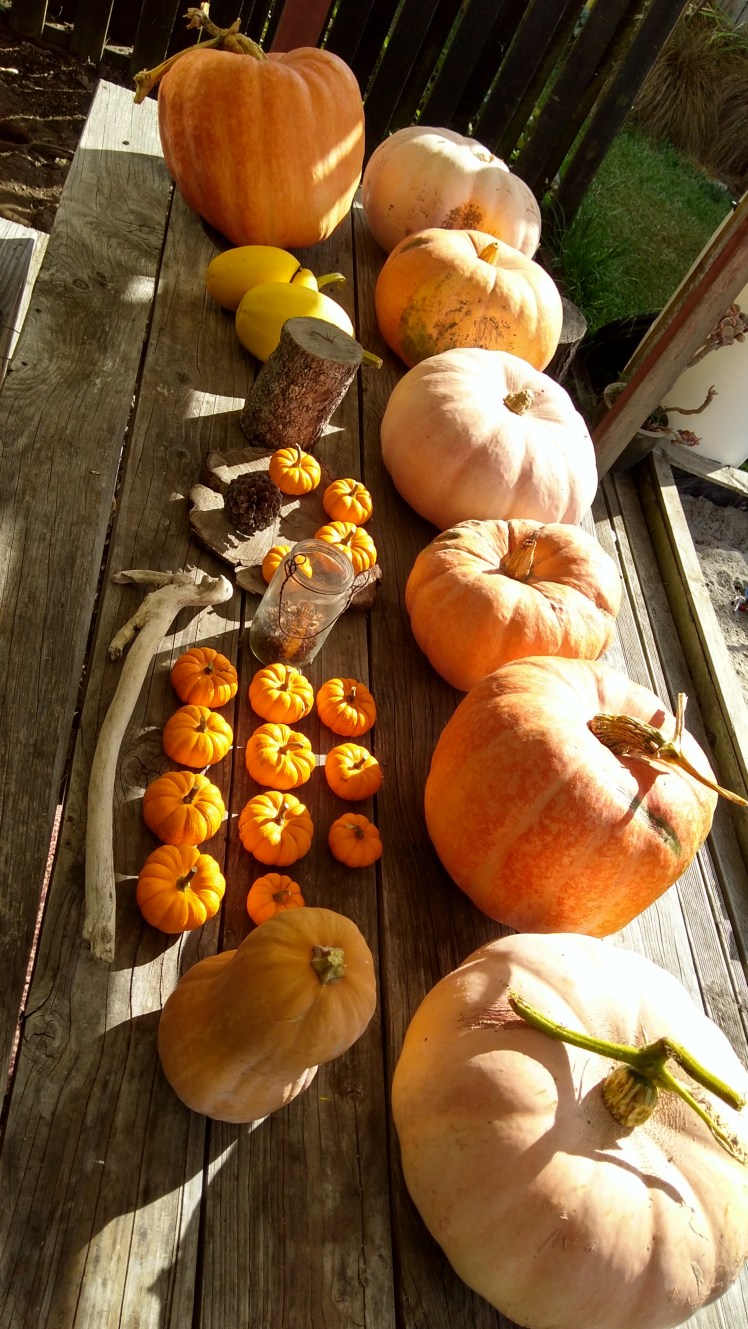 IMG_20200304_165807228_HDR