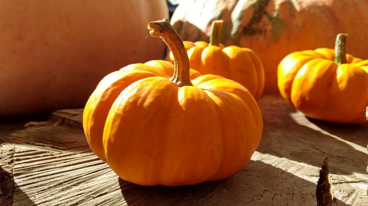 IMG_20200304_165837655_HDR