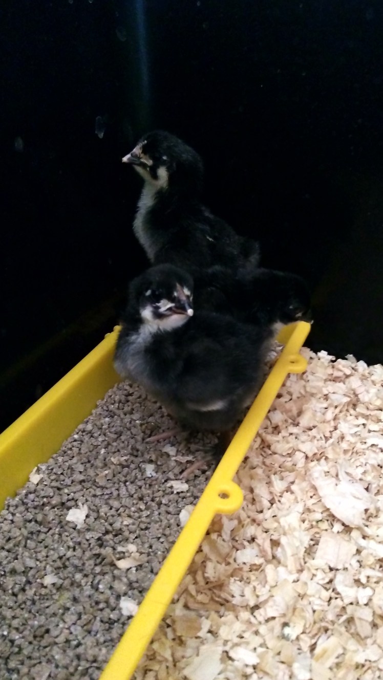 IMG_20200306_170534527_HDR