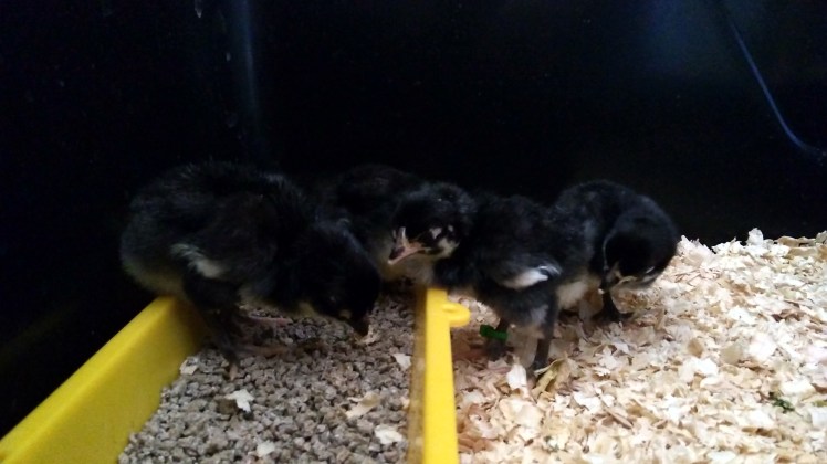 IMG_20200306_170604953_HDR