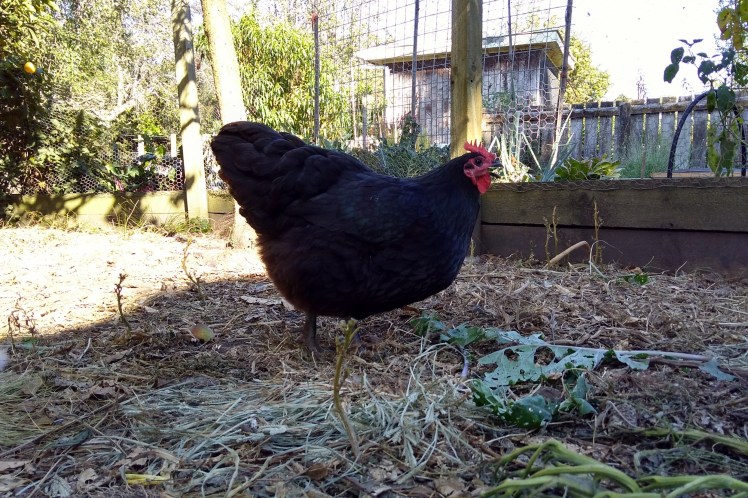 IMG_20200308_171120015_HDR 3x2