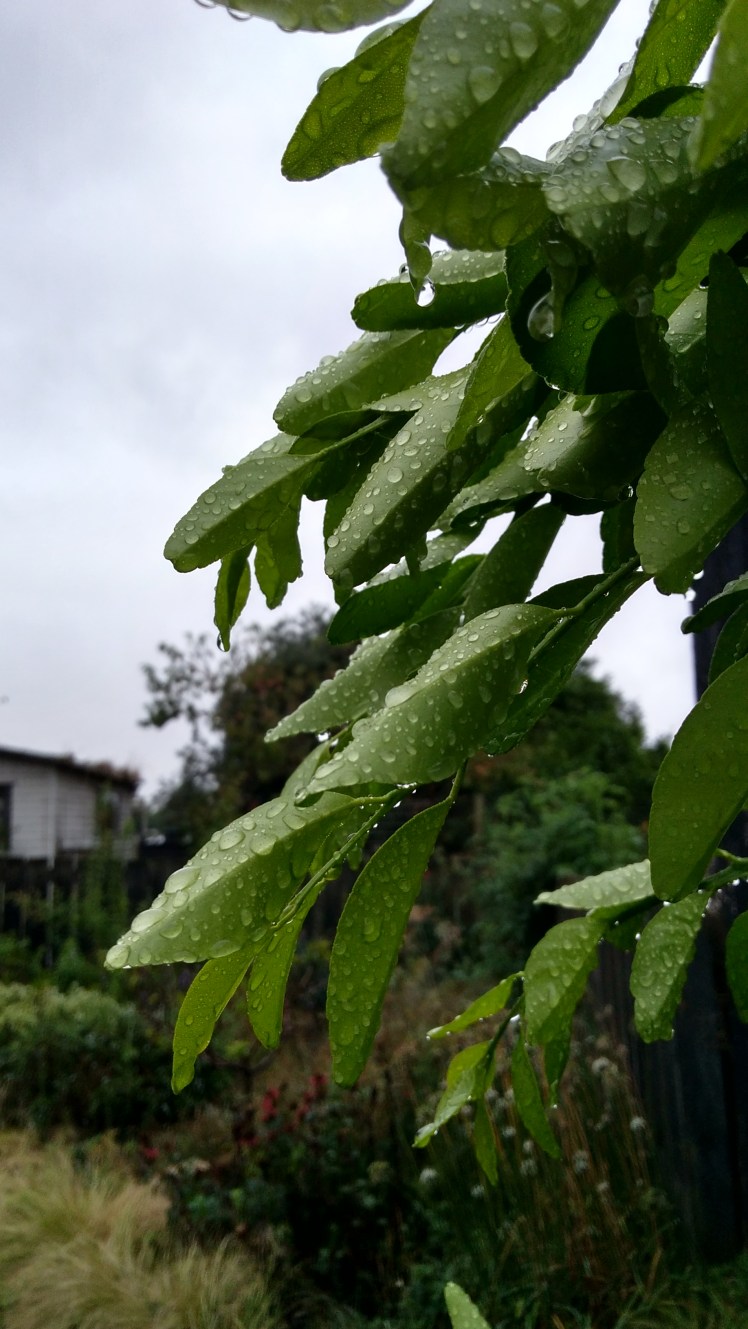 IMG_20200309_181609011_HDR