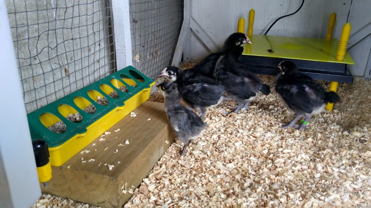 IMG_20200321_161431995_HDR