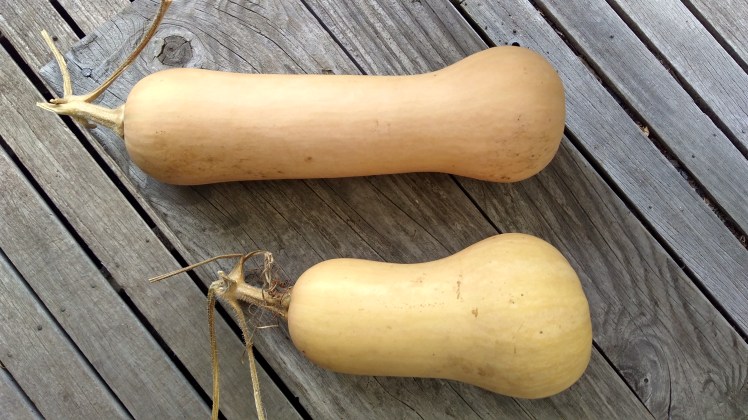 IMG_20200322_140136904_HDR