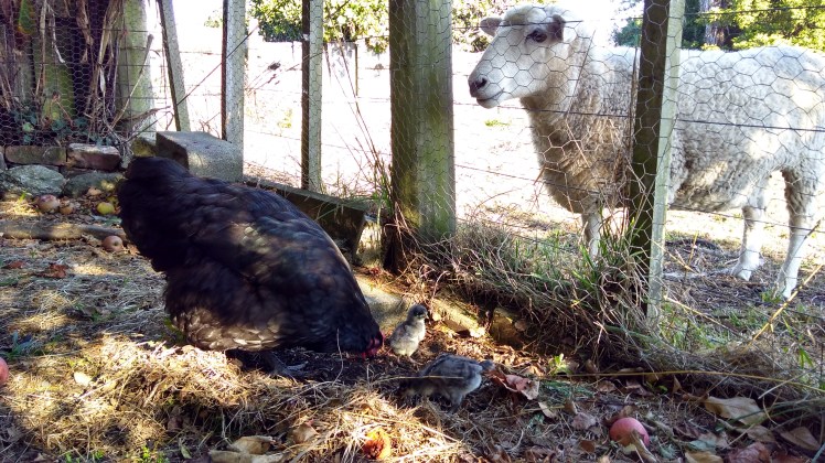 IMG_20200329_092925168_HDR