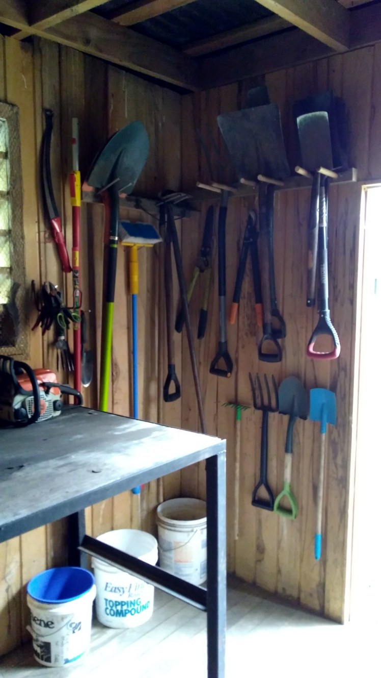 IMG_20200406_162317735_HDR