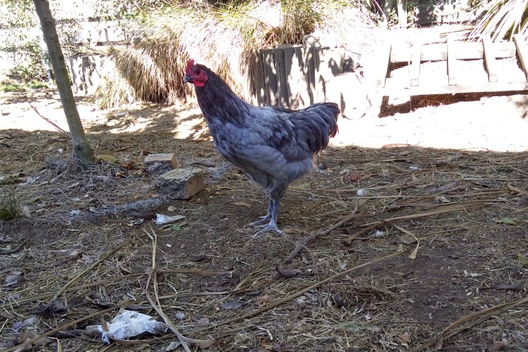 IMG_20200407_093814701_HDR 3x2