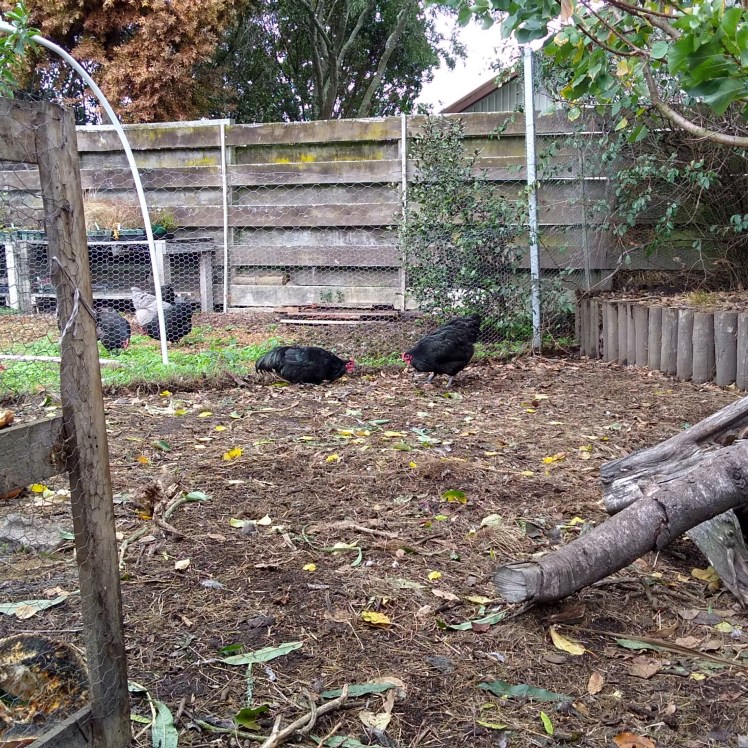 IMG_20200418_094604028_HDR sq