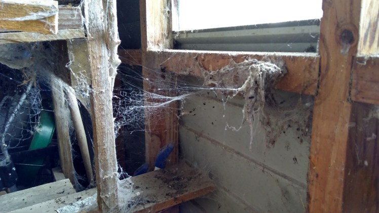 IMG_20200421_154543263_HDR