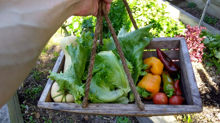 IMG_20200424_115557520_HDR