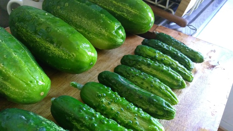 IMG_20180128_172425793