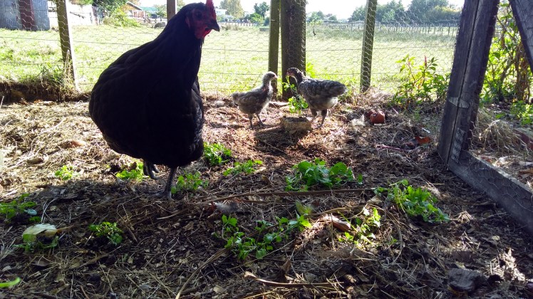 IMG_20200425_102205906_HDR