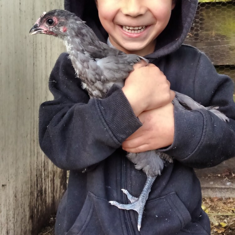 IMG_20200428_073601543 sq