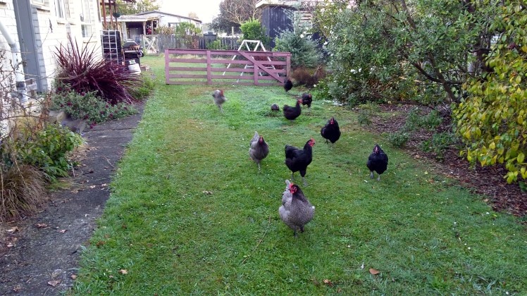 IMG_20200428_074003551_HDR