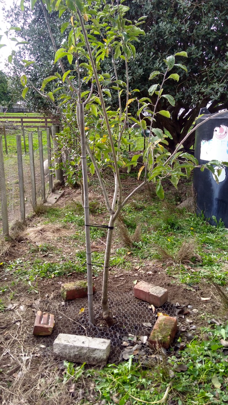 IMG_20200513_105839325_HDR