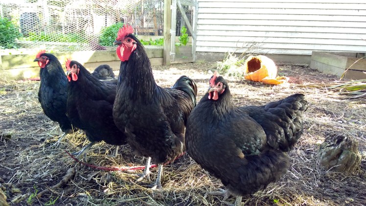 IMG_20200607_145858085_HDR