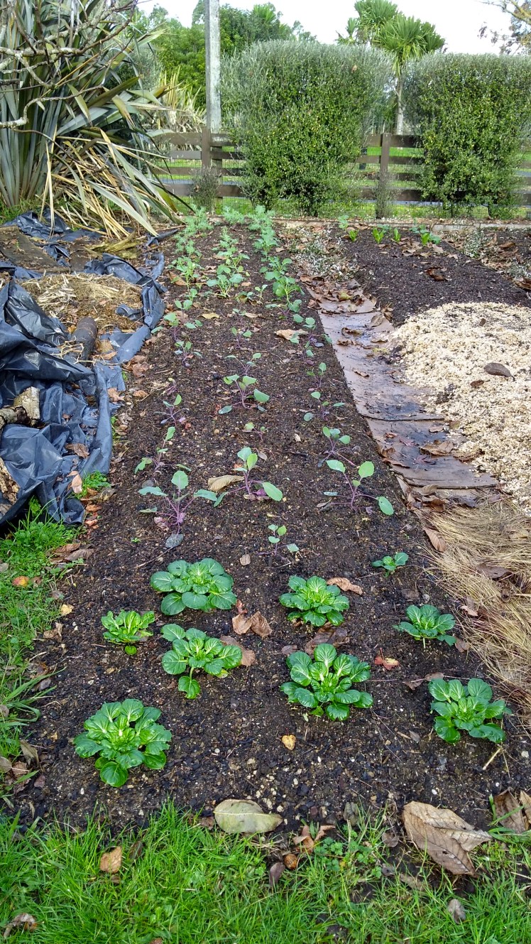 IMG_20200608_150130475_HDR