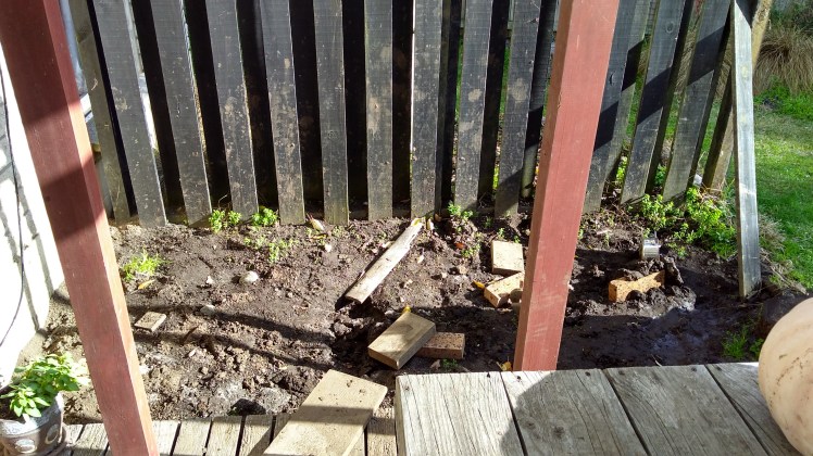 IMG_20200609_134748712_HDR