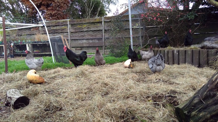 IMG_20200629_111556441