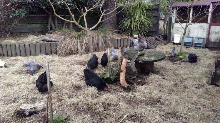 IMG_20200629_112526216