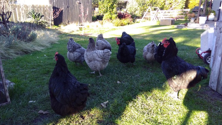 IMG_20200703_151207663