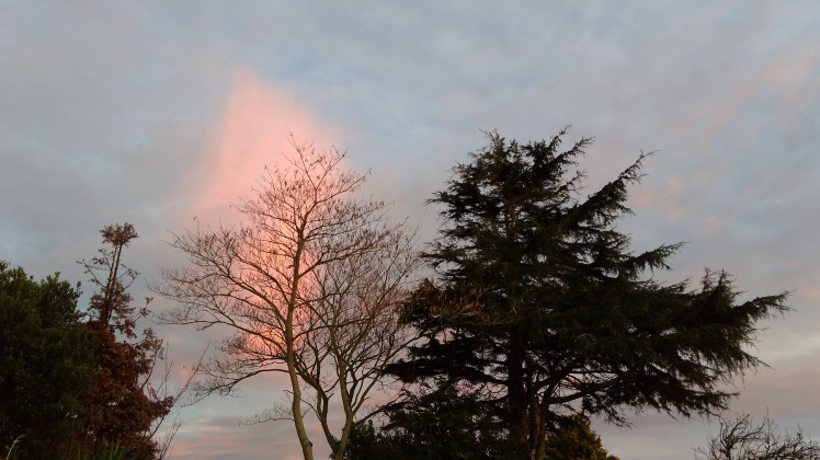 IMG_20200718_072625487