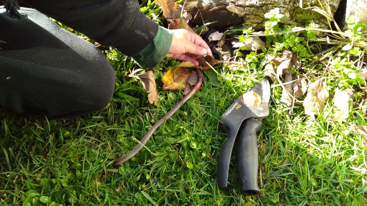 IMG_20200701_121212964