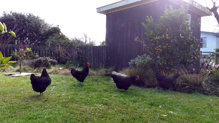 IMG_20200712_095820255_HDR