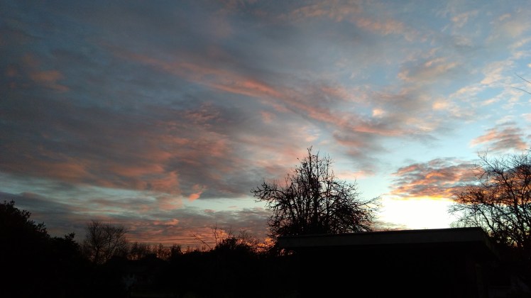 IMG_20200718_072638746