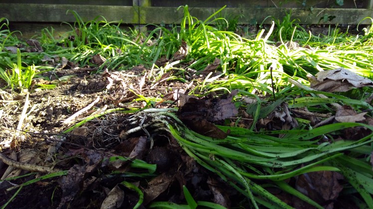 IMG_20200719_142158835