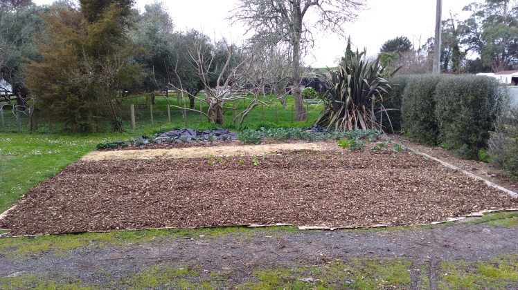 IMG_20200802_153447637