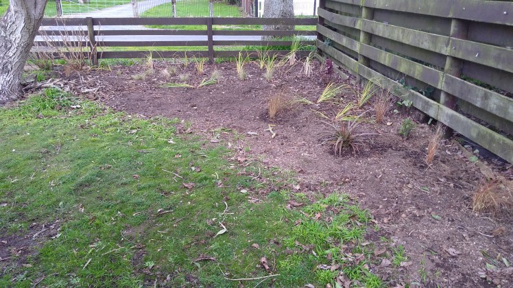 IMG_20200802_153503325