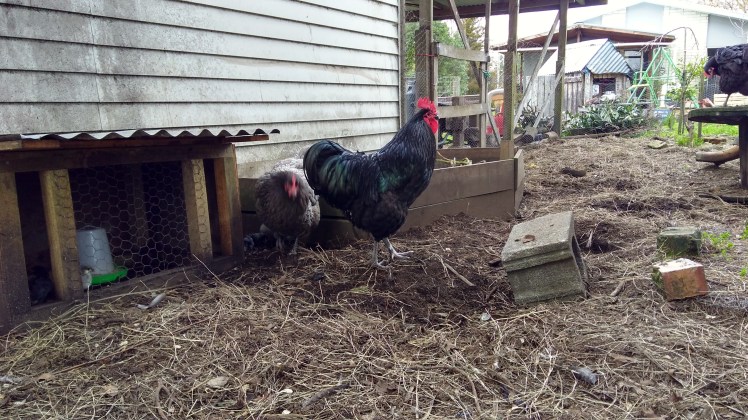 IMG_20200802_163318241_HDR