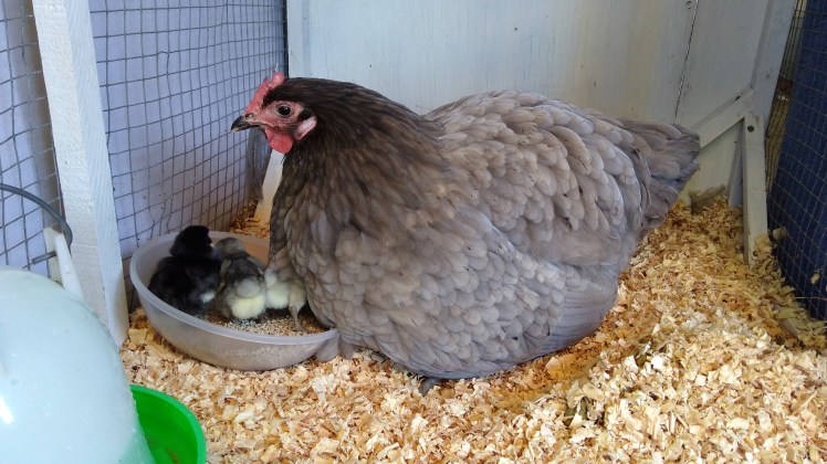 IMG_20200804_103049423