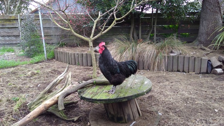 IMG_20200813_143350196