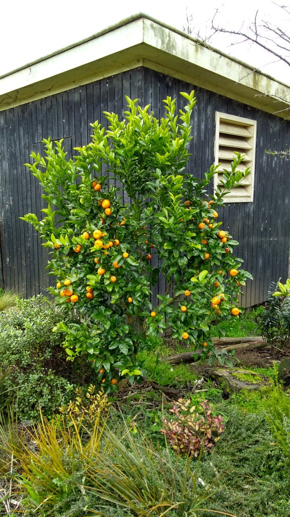 IMG_20200813_154617104_HDR