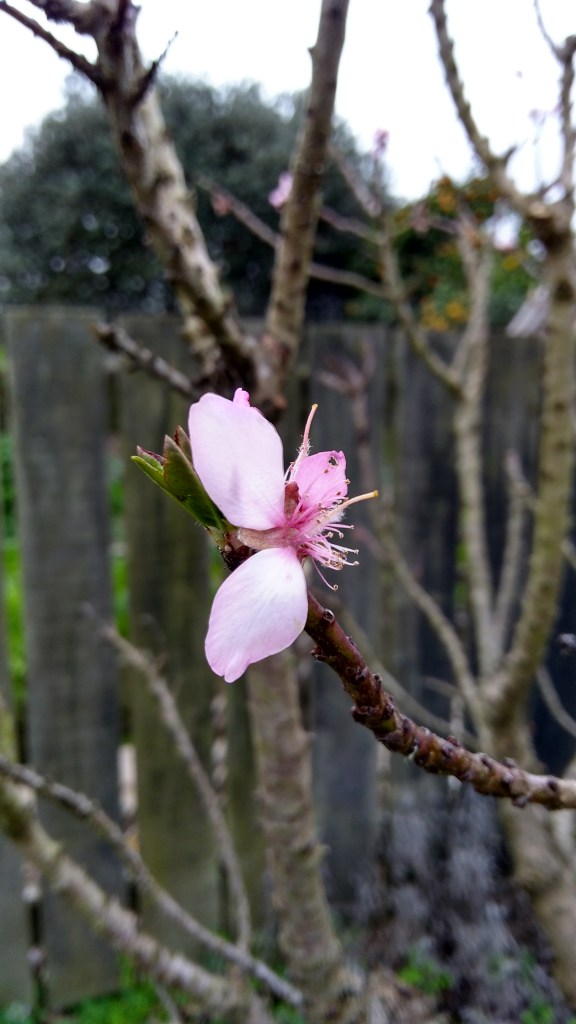 IMG_20200813_154644228_HDR