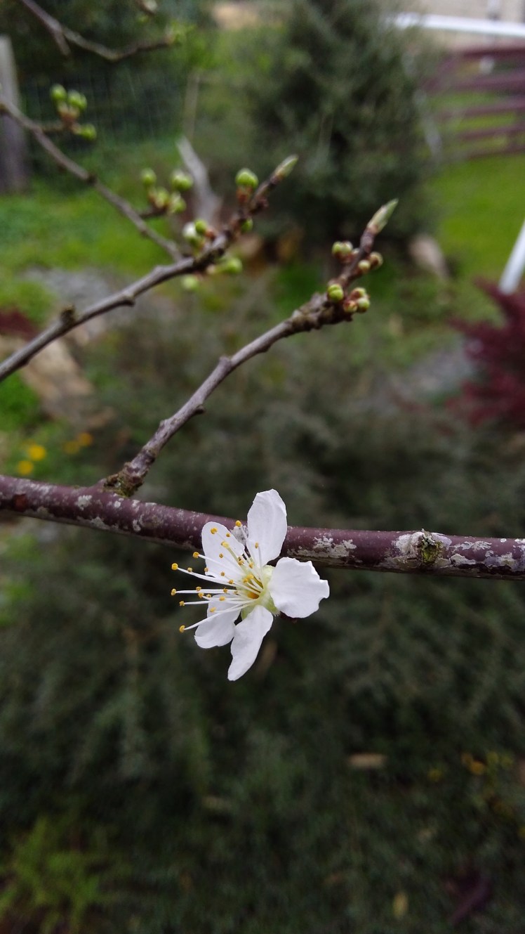 IMG_20200813_154819144