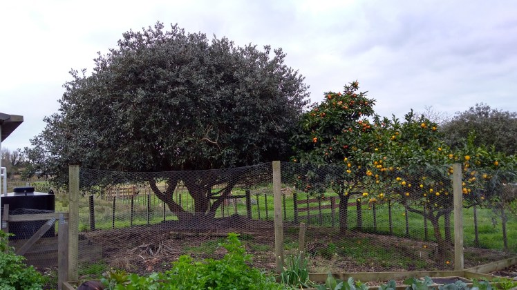 IMG_20200813_155821684_HDR